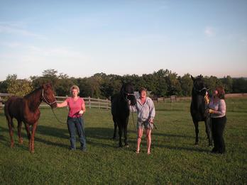 Our guests and their horses