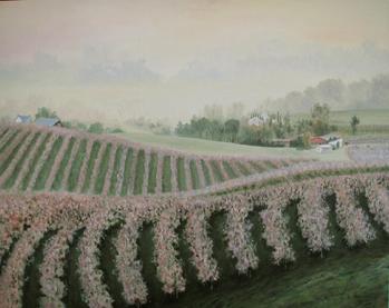Apple Orchards Hills Fog Landscape Painting