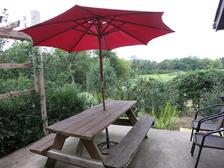 Back Patio with BBQ