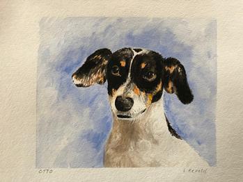 Dogs, Otto